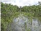 3725 Launceston Road, Dundee Beach NT 0840
