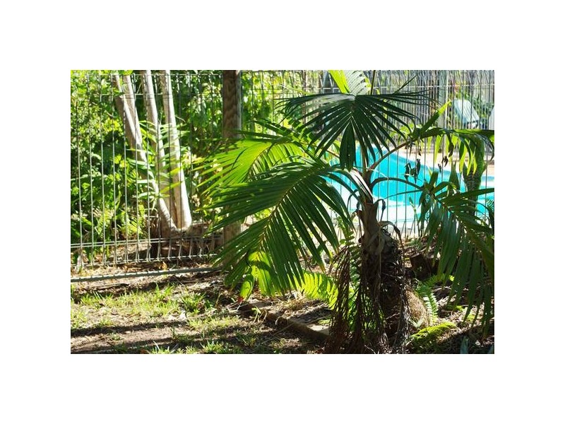 24 Borella Circuit, Jingili NT 0810