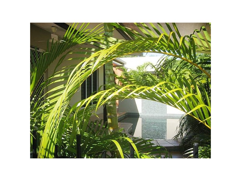 1/8 Sovereign Circuit, Coconut Grove NT 0810