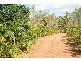 2963 Emperor Road, Dundee Downs NT 0840