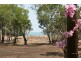 19 Cox Drive, Wagait Beach NT 0822