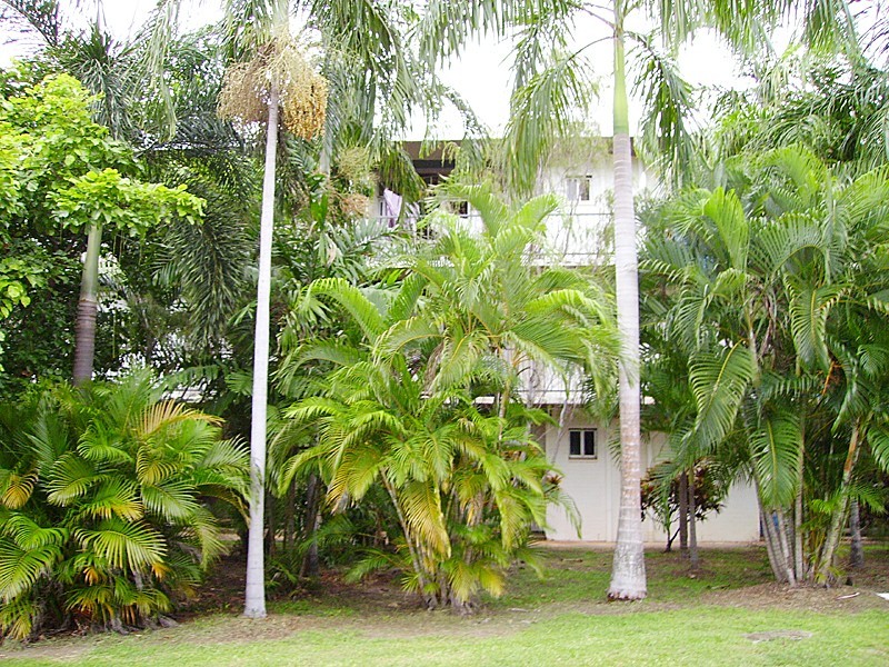 2/3 Poinciana Street, Nightcliff NT 0810
