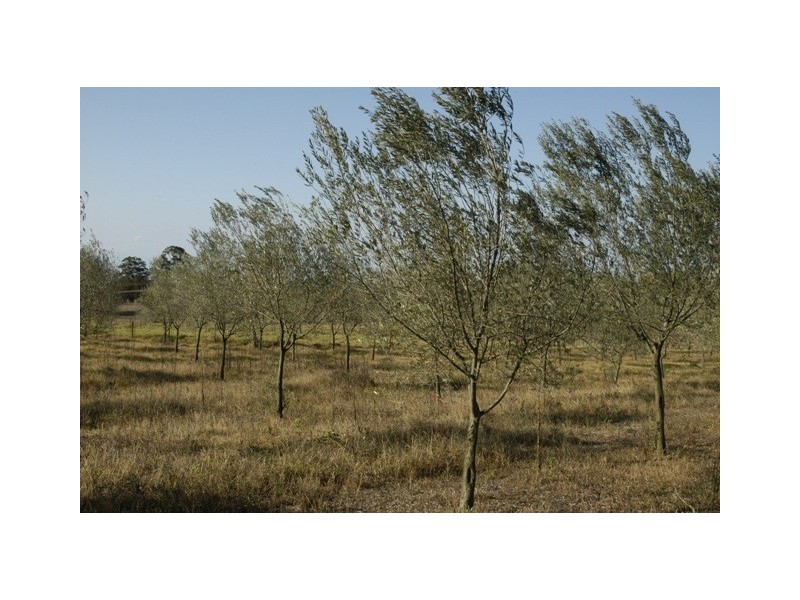 270 Arina, Bargo NSW 2574