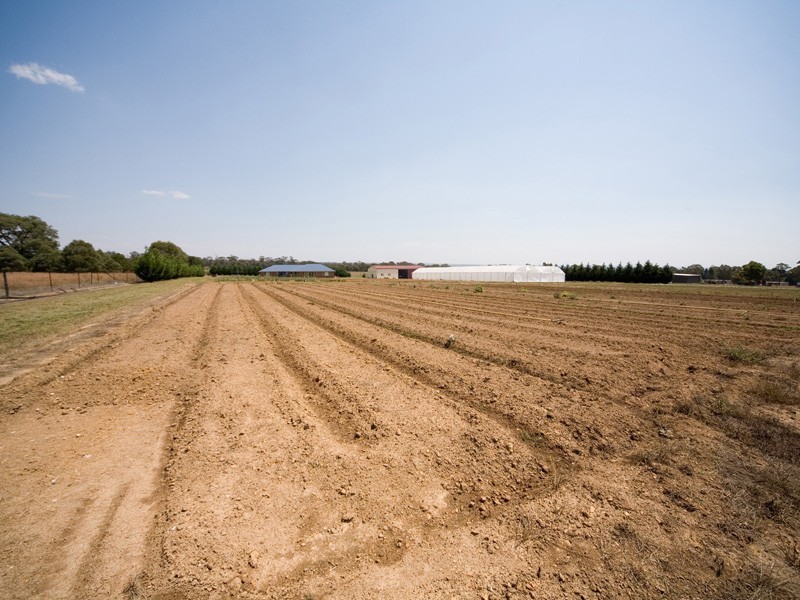 131 Silica Road, Bargo NSW 2574