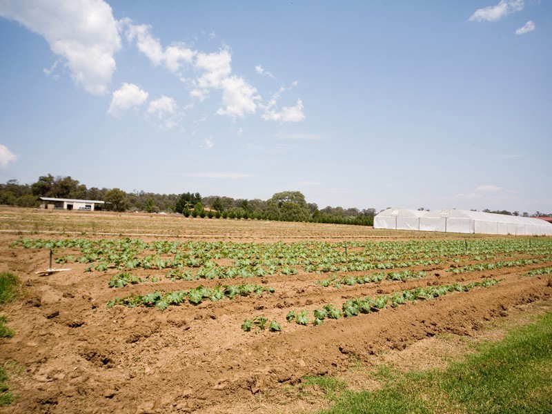 131 Silica Road, Bargo NSW 2574