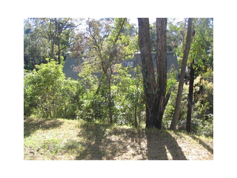 17 Wellington Street, Buxton NSW 2571