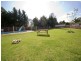 4 Davis Place, Thirlmere NSW 2572