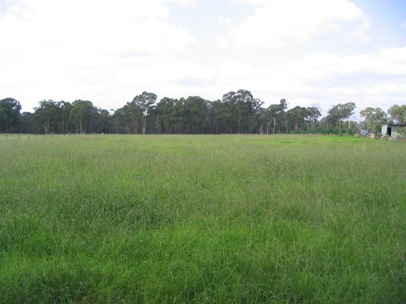 8 Lyrebird Road, Pheasants Nest NSW 2574
