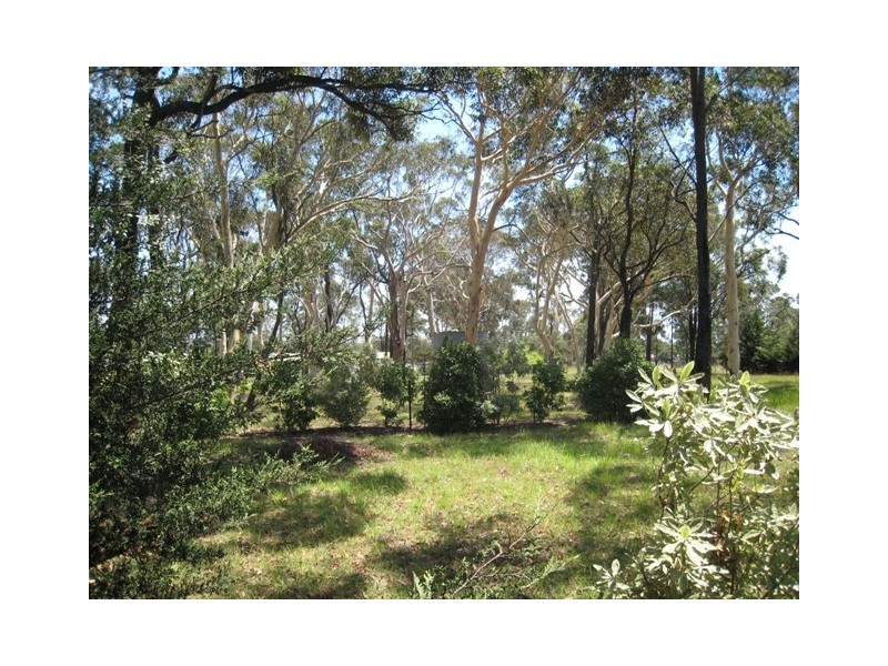 91 Illawarra Street, Appin NSW 2560