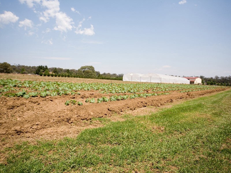 131 Silica Rd, Bargo NSW 2574