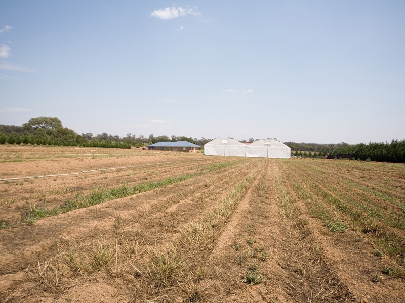 131 Silica Rd, Bargo NSW 2574