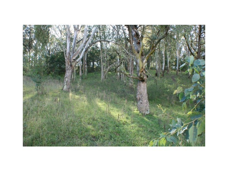 20 Innes Street, Thirlmere NSW 2572