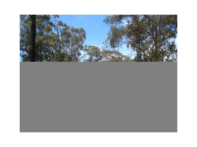 91 Illawarra Street, Appin NSW 2560