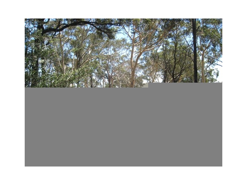 91 Illawarra Street, Appin NSW 2560