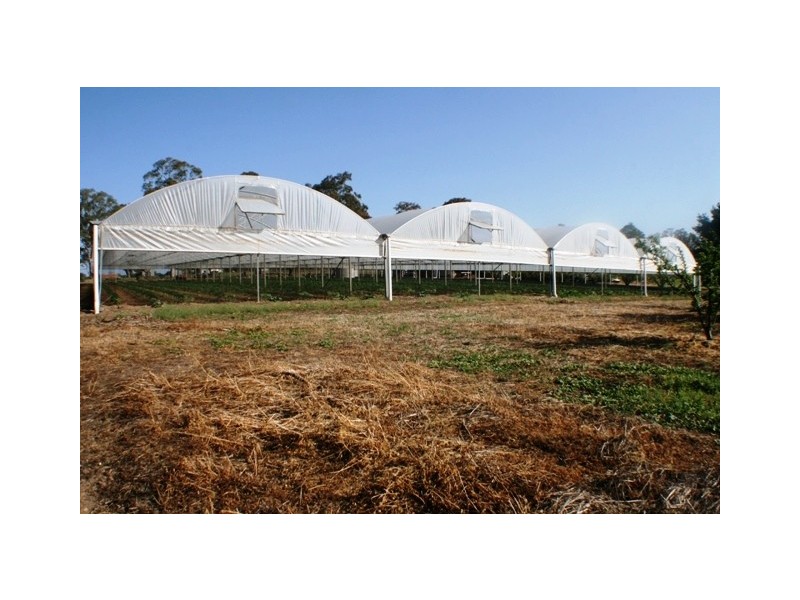20 Edinburgh Street, Tahmoor NSW 2573
