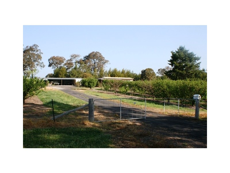 20 Edinburgh Street, Tahmoor NSW 2573