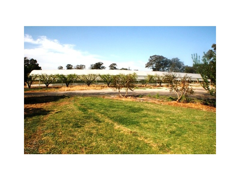 20 Edinburgh Street, Tahmoor NSW 2573