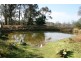 20 Edinburgh Street, Tahmoor NSW 2573