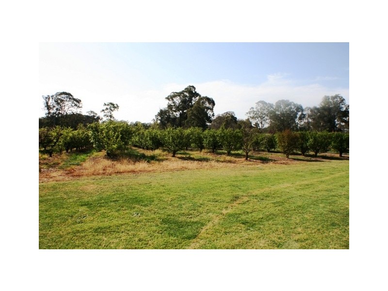 20 Edinburgh Street, Tahmoor NSW 2573