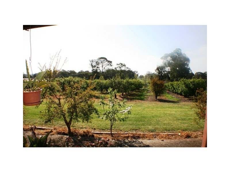 20 Edinburgh Street, Tahmoor NSW 2573