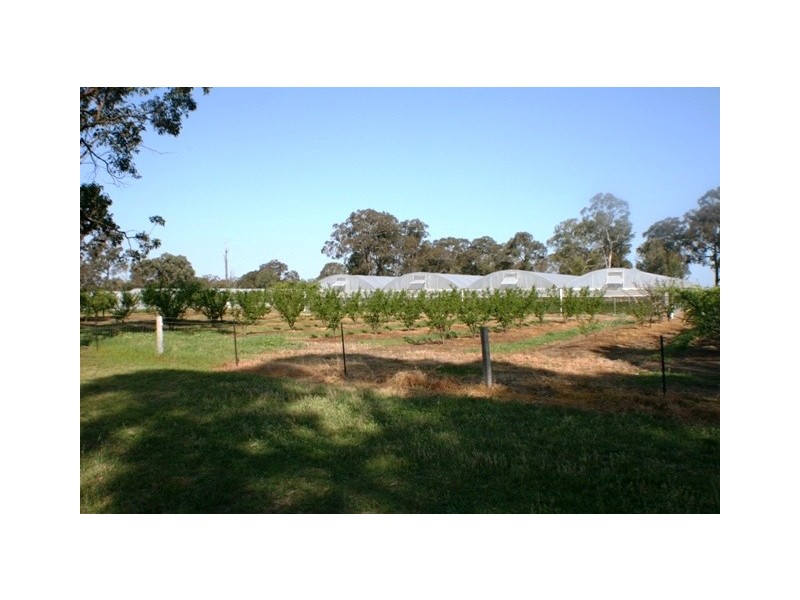 20 Edinburgh Street, Tahmoor NSW 2573