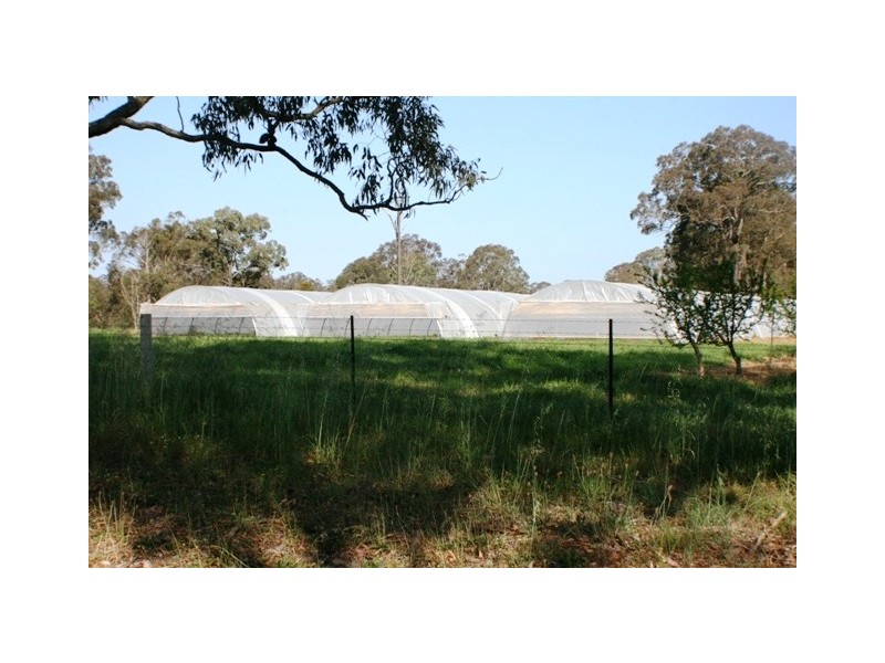 20 Edinburgh Street, Tahmoor NSW 2573