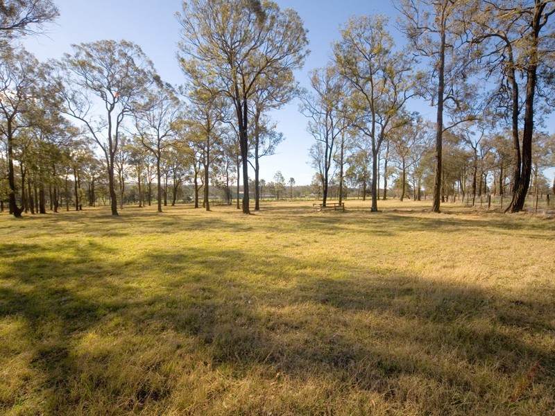 50 Burns Road, Thirlmere NSW 2572