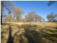 50 Burns Road, Thirlmere NSW 2572