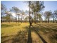 50 Burns Road, Thirlmere NSW 2572