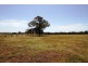 30 Lyrebird Road, Bargo NSW 2574