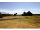 30 Lyrebird Road, Pheasants Nest NSW 2574
