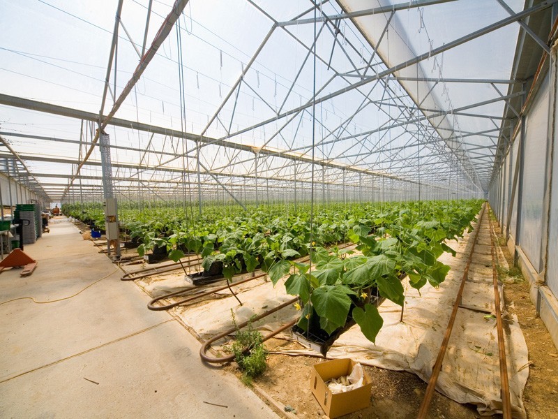 115 Tylers Road, Bargo NSW 2574