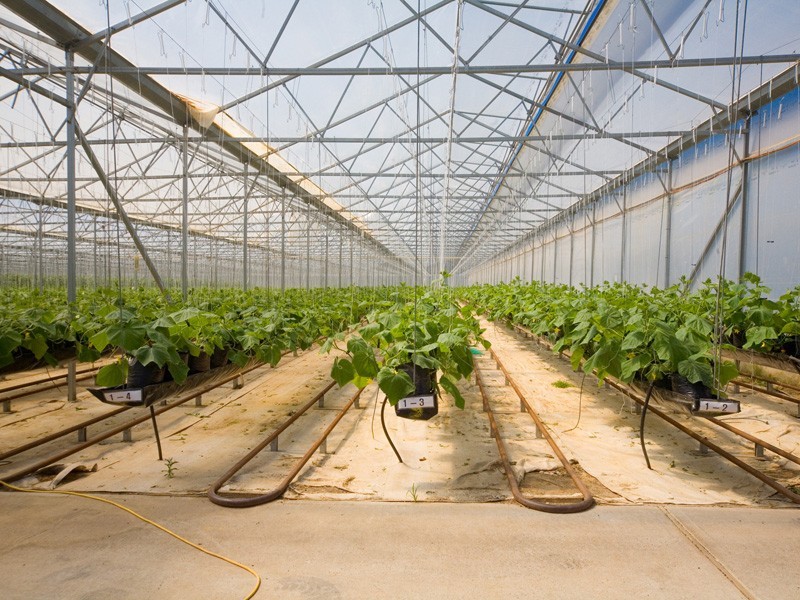 115 Tylers Road, Bargo NSW 2574