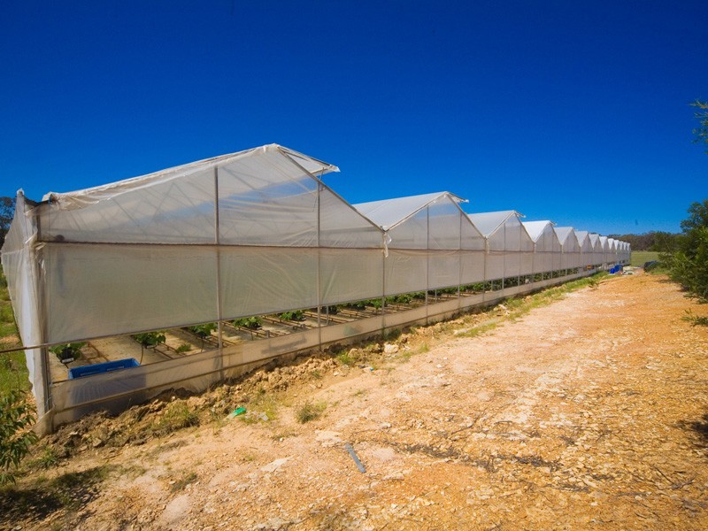 115 Tylers Road, Bargo NSW 2574