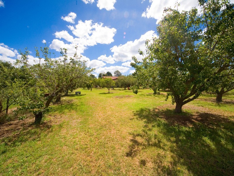 115 Rita Street, Thirlmere NSW 2572