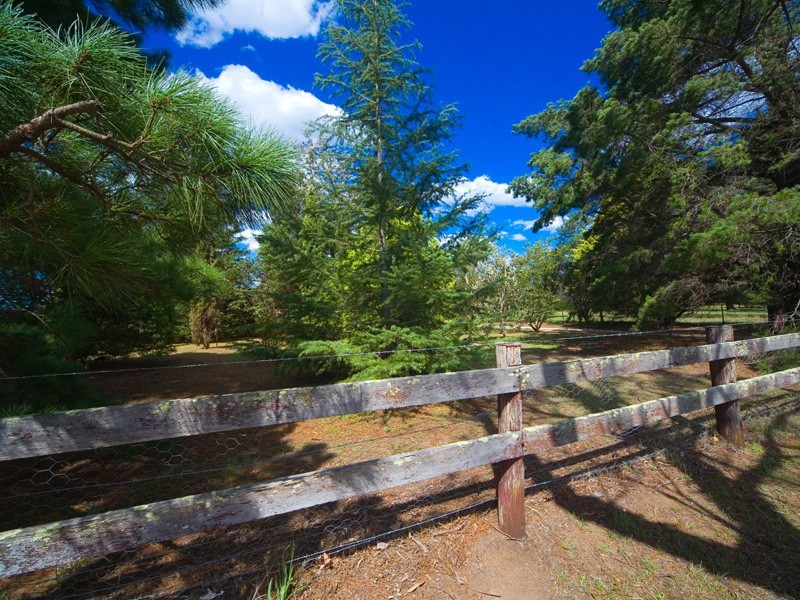 115 Rita Street, Thirlmere NSW 2572