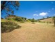 590 Menangle Street, Douglas Park NSW 2569