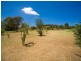 590 Menangle Street, Douglas Park NSW 2569