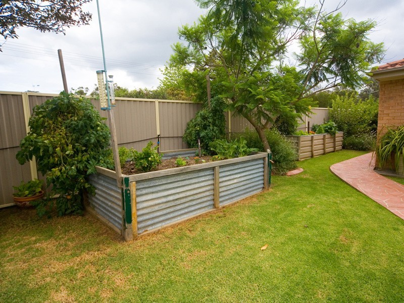 16 Campbell Street, Thirlmere NSW 2572