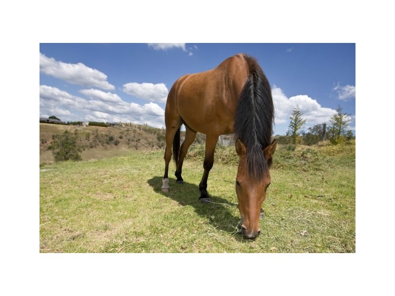 Lot 28, 150 Abbotsford Road, Picton NSW 2571