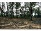 Buxton NSW 2571