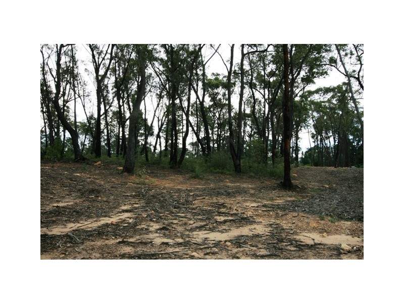 Buxton NSW 2571