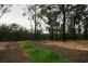 Buxton NSW 2571