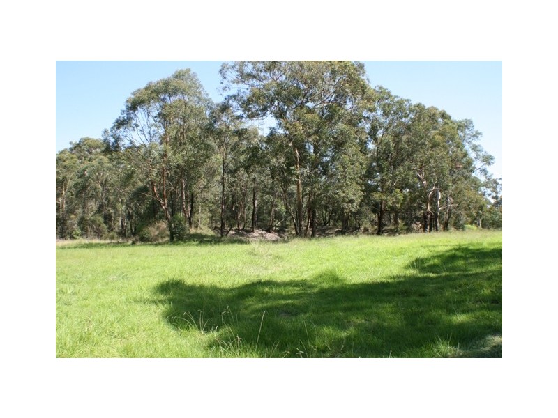 134 Lisa Road, Wilton NSW 2571