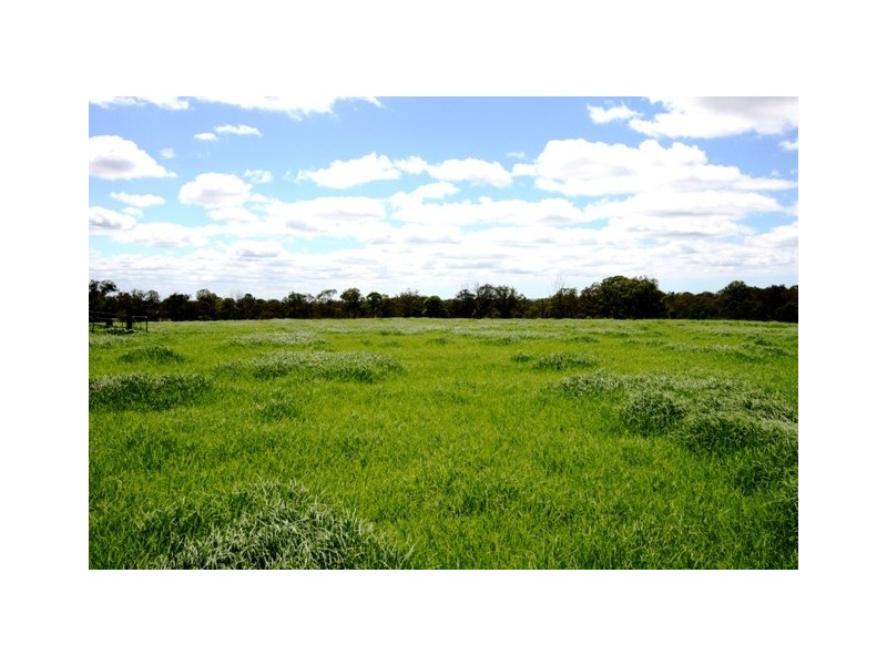 30 Lyrebird Road, Pheasants Nest NSW 2574