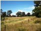 155 Oaks Road, Thirlmere NSW 2572