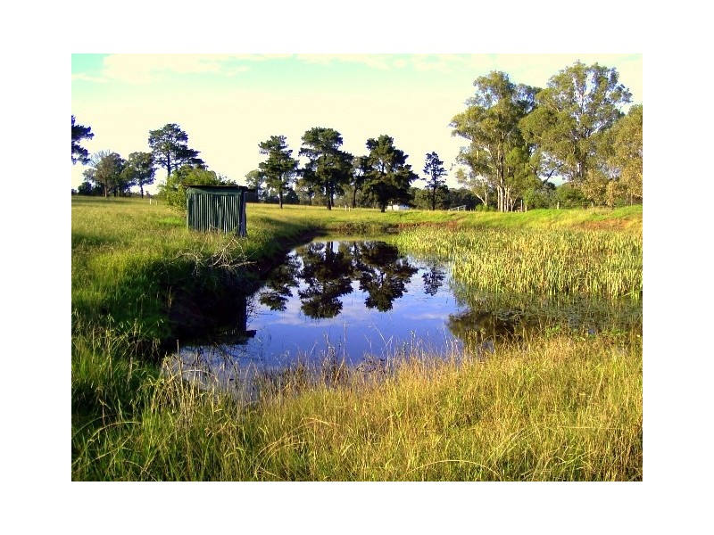 585 Pheasants Nest Road, Pheasants Nest NSW 2574