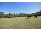 595 Mount Hercules Road, Razorback NSW 2571