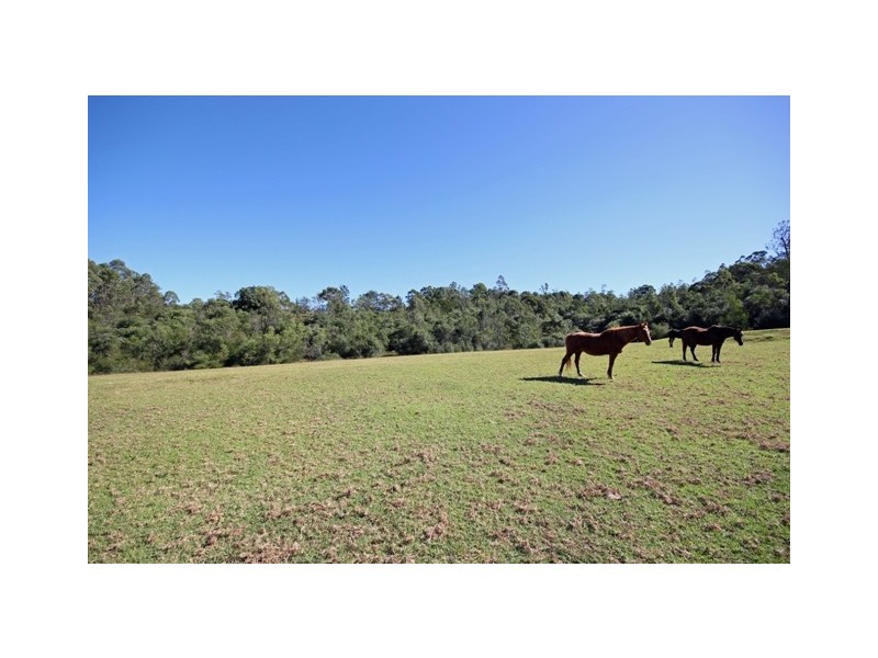 595 Mount Hercules Road, Razorback NSW 2571