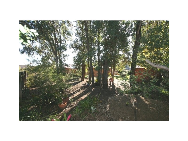 29 Coachwood Crescent, Picton NSW 2571